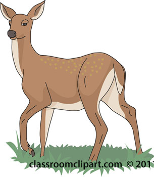 Buck clipart venison. Free whitetail deer cliparts