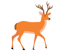 Antlers clipart. Free deer clip art