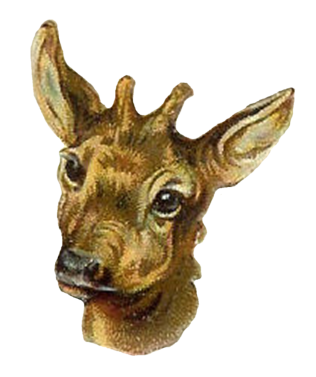 Deer clipart antelope. Antique images stock animal