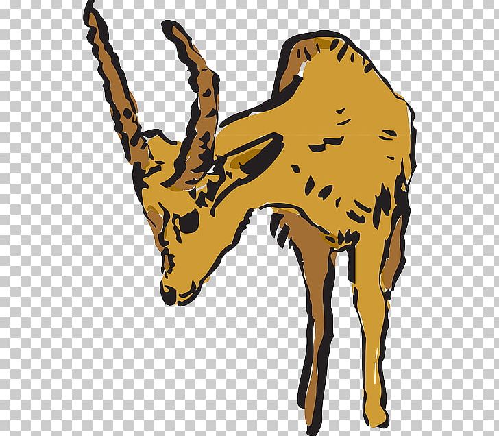 Giraffe pronghorn png animal. Deer clipart antelope