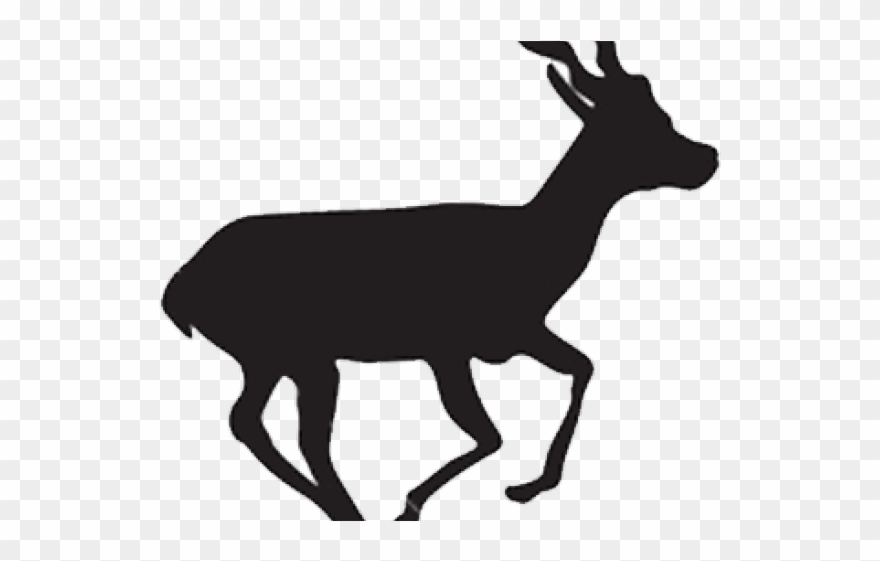 deer clipart blackbuck