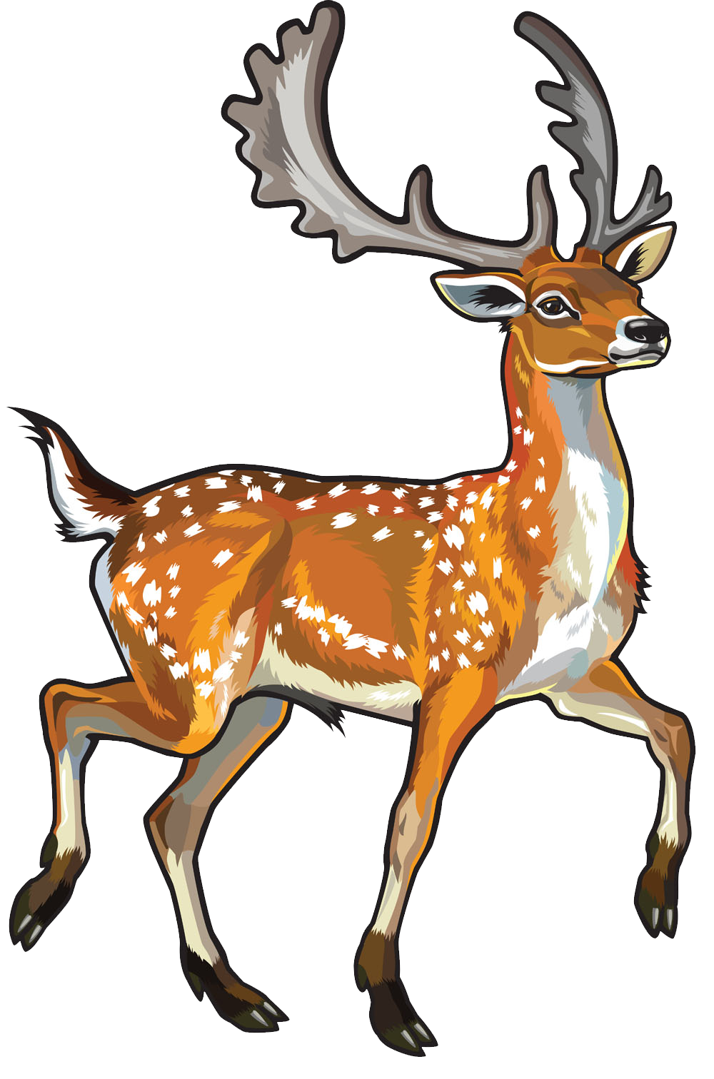 deer clipart chital