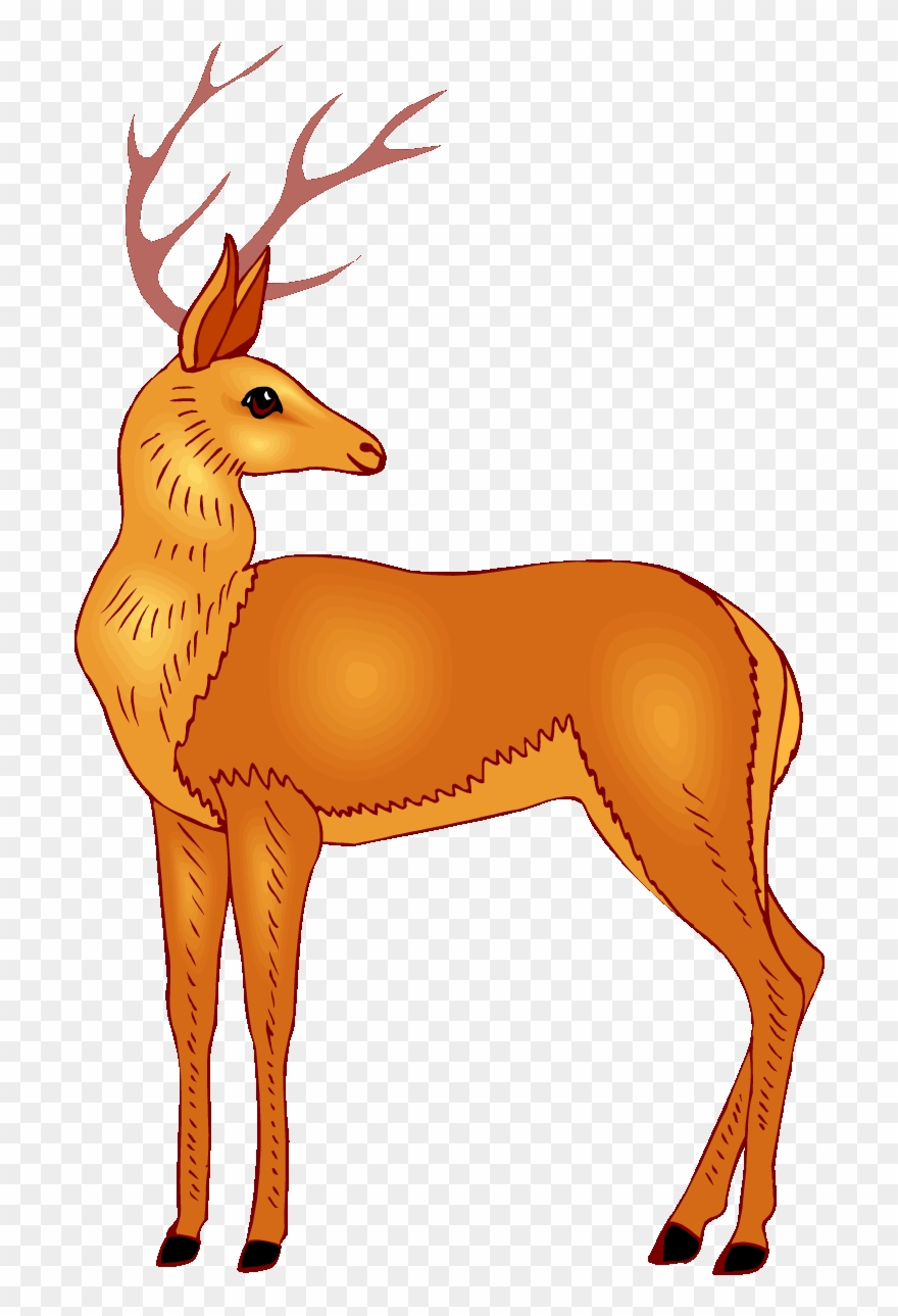 deer clipart clip art
