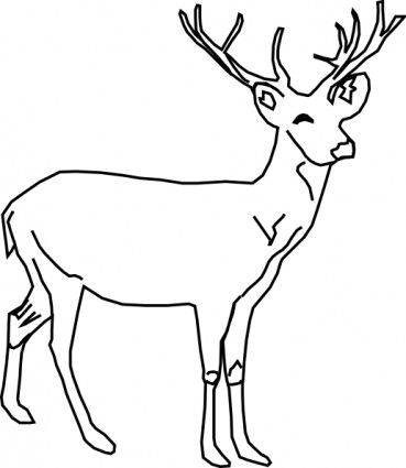 Deer clipart coloring page. Clip art reclaimed wood