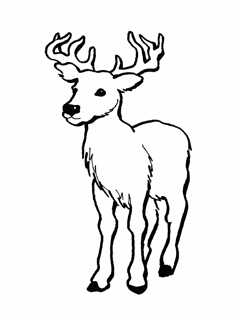 Deer clipart coloring page. Printable clip art library