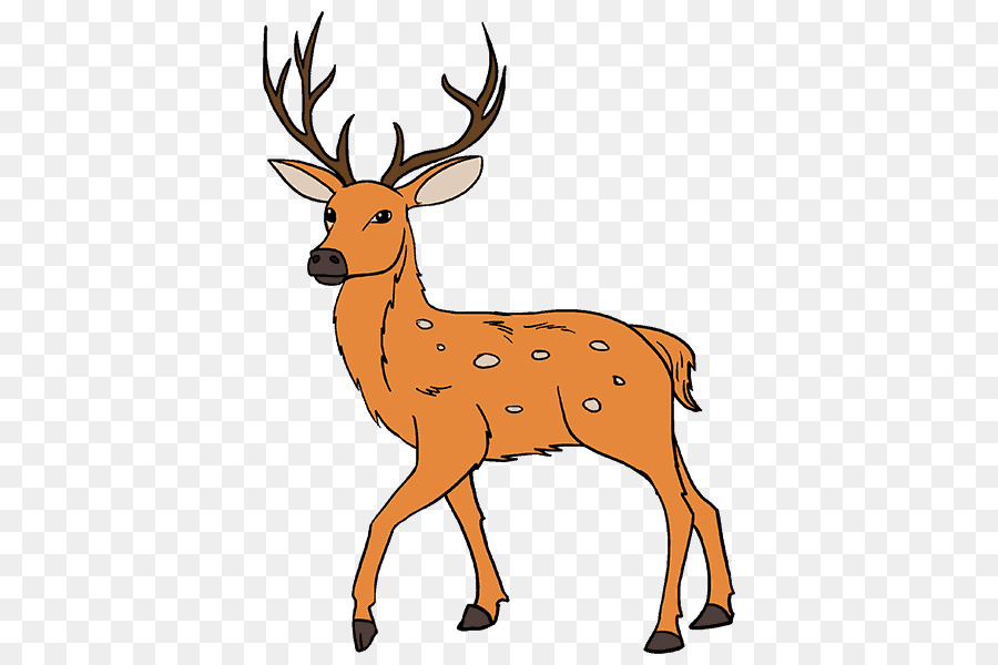 deer clipart deer drawing
