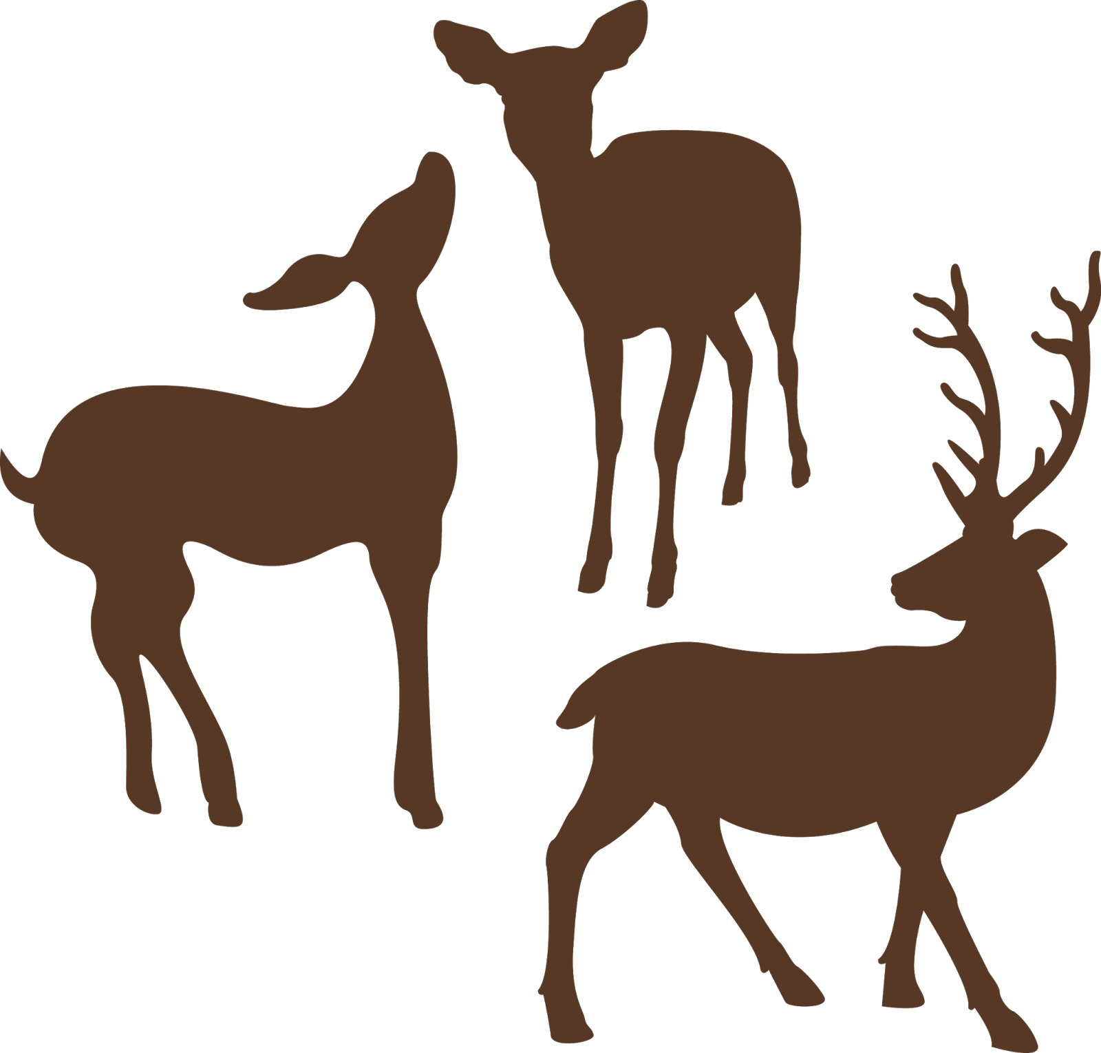 Deer deer family