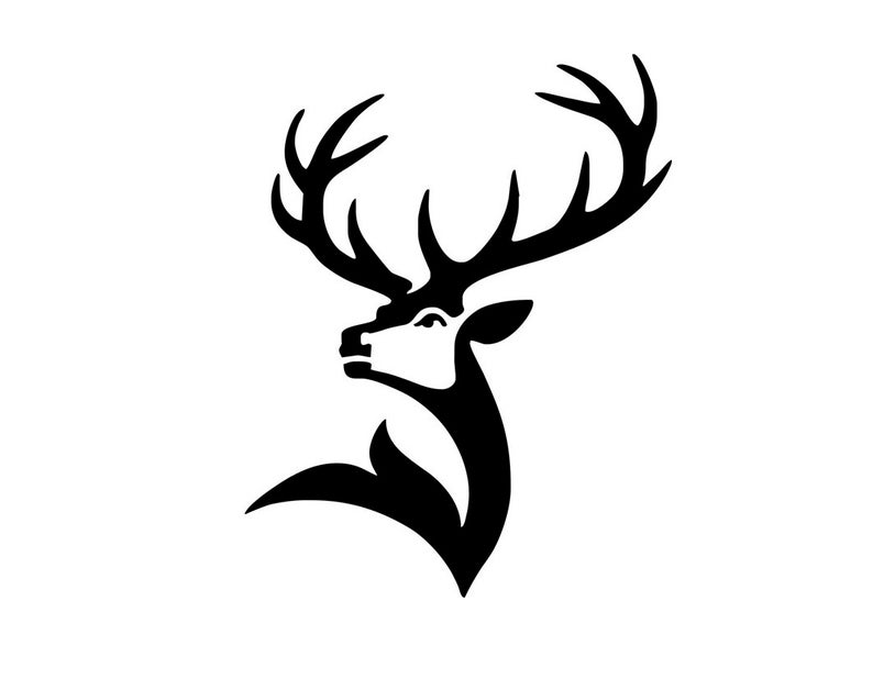 Download Deer clipart deer head, Deer deer head Transparent FREE ...