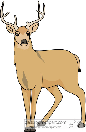 deer clipart eyes