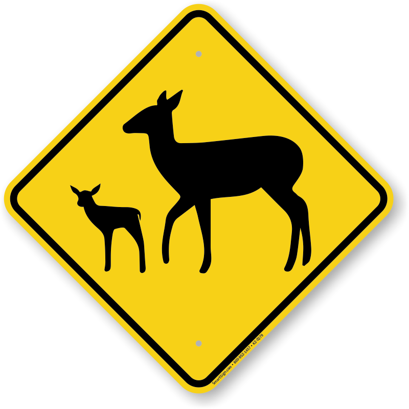 deer clipart fawn