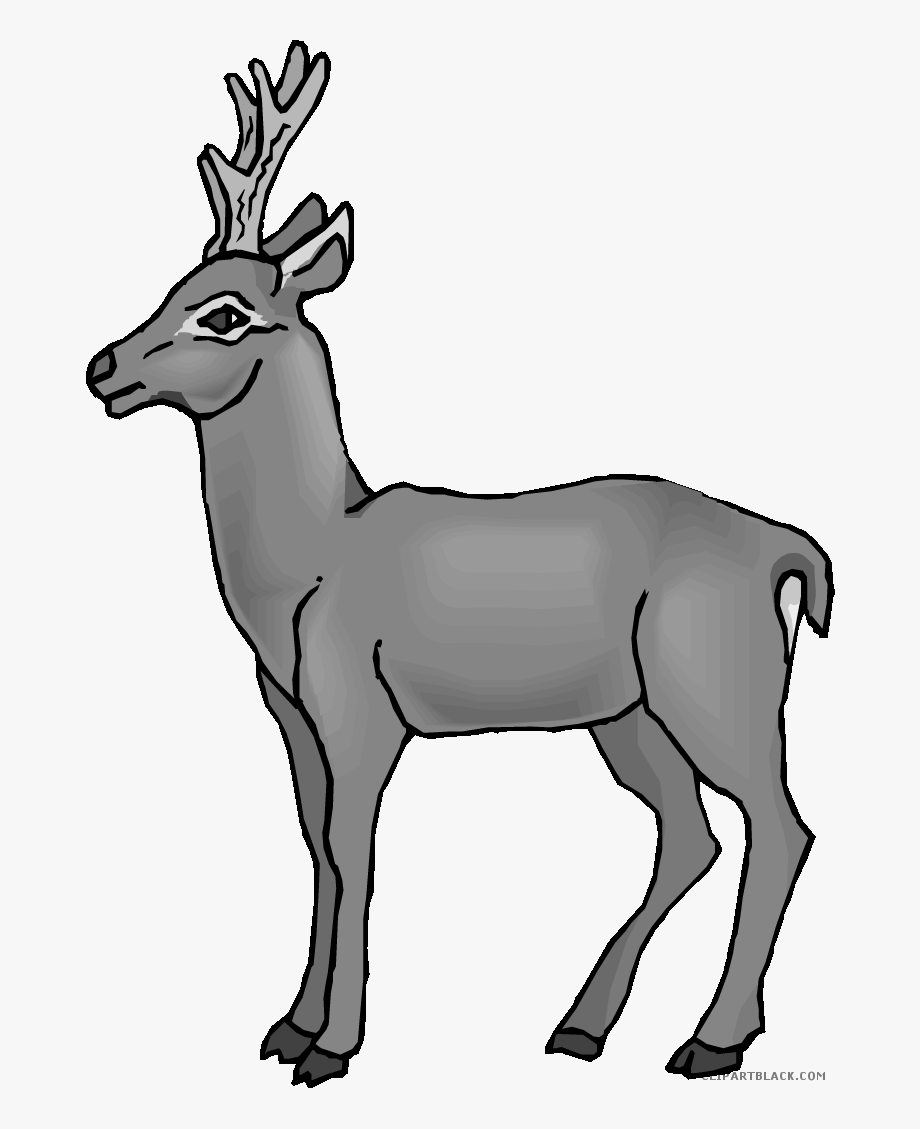 Buck gif free cliparts. Deer clipart heterotroph