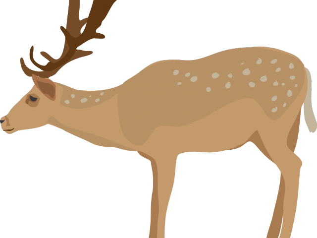 deer clipart heterotroph