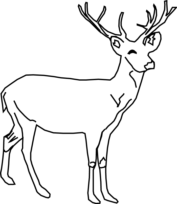 Deer hiran