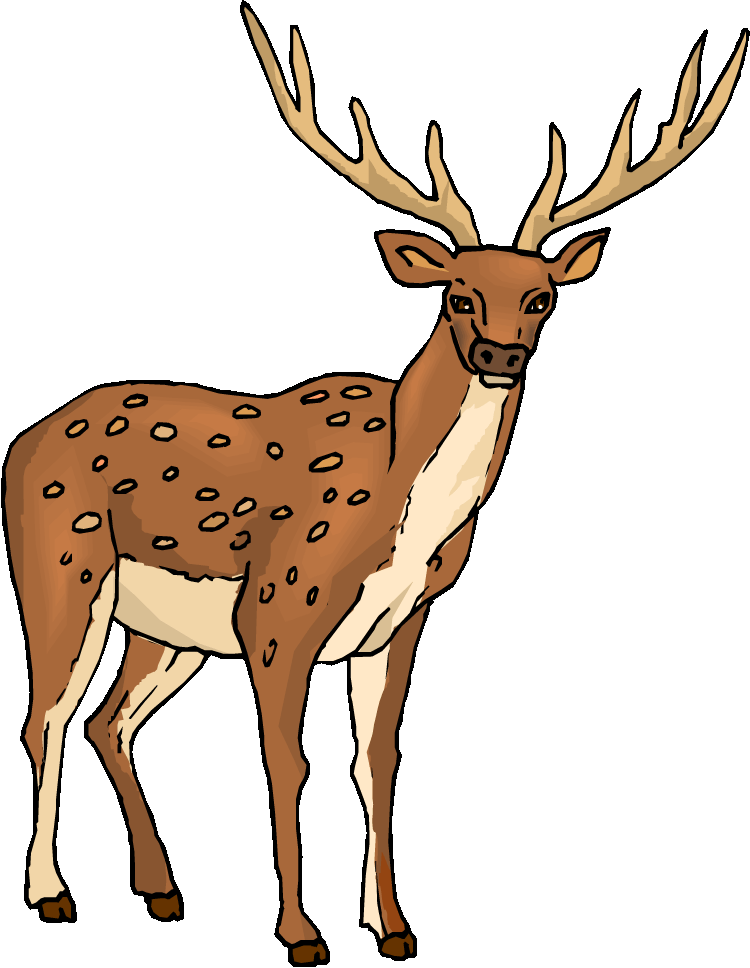 free clipart deer