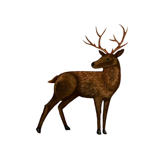 Painted buck clip art. Deer clipart male deer