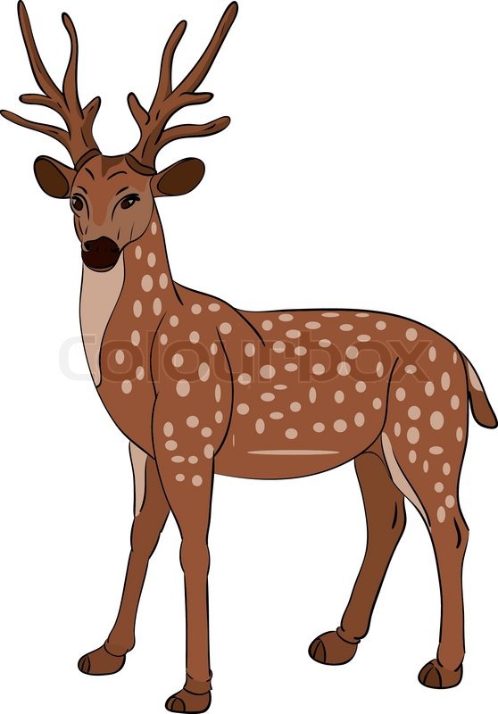 Hunting free download best. Deer clipart male deer