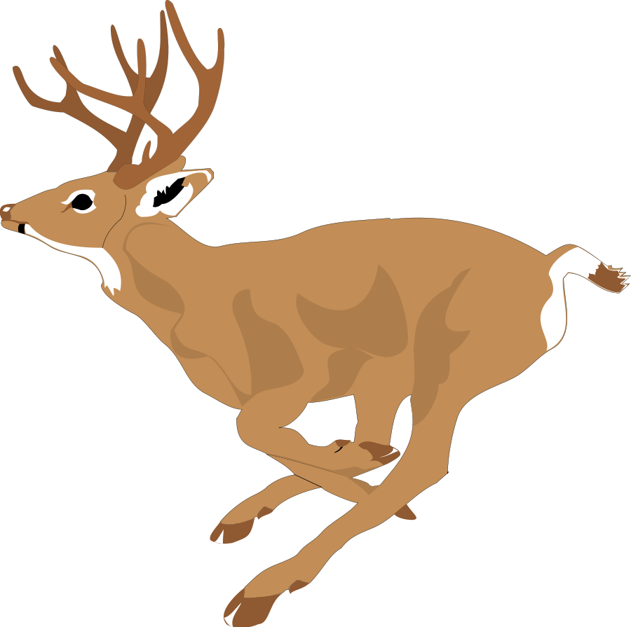 deer clipart printable