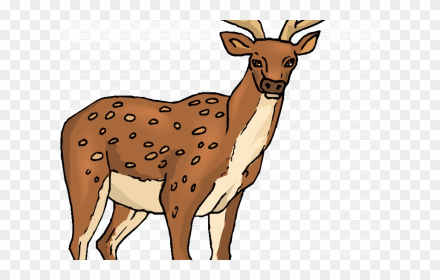 deer clipart spotted deer