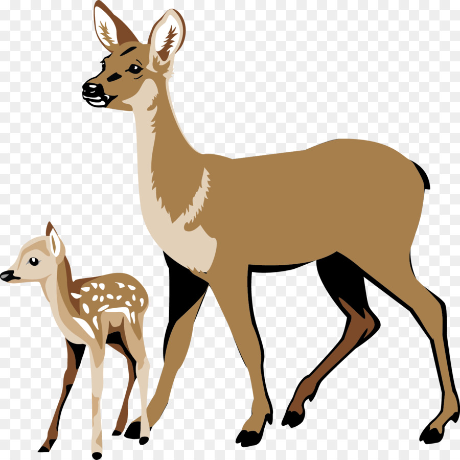 deer clipart tail