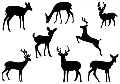 deer clipart vector
