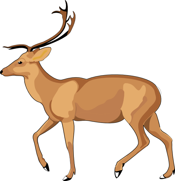 deer clipart wildlife