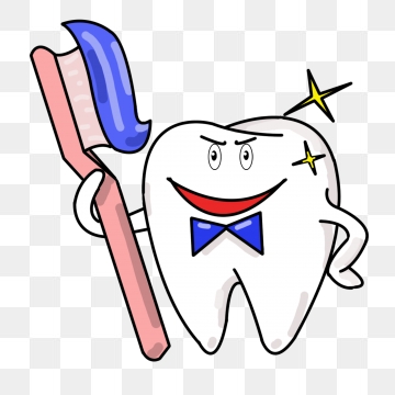 dental clipart beautiful tooth