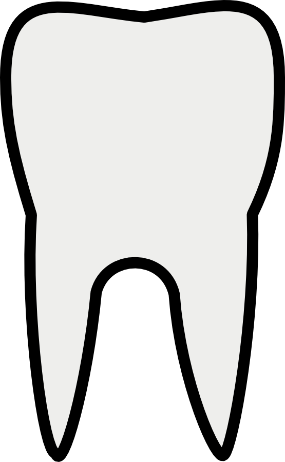 dentist clipart molar tooth