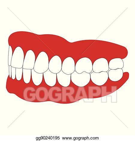 Dental clipart dentures. Vector stock with white