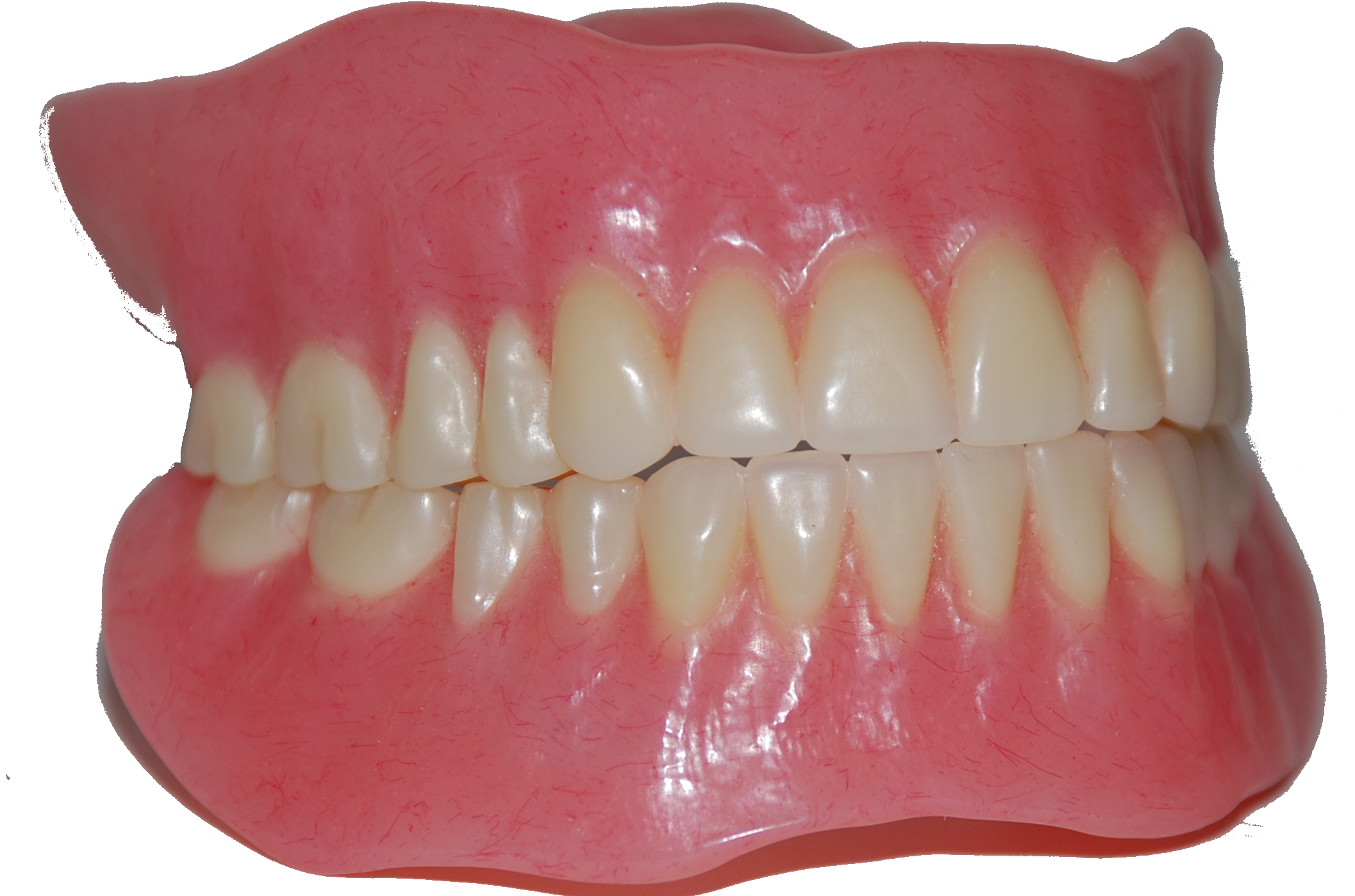 Dental clipart dentures. 