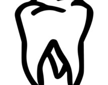 tooth clipart molar