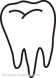 dental clipart molar