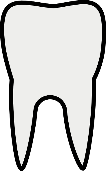 dental clipart molar