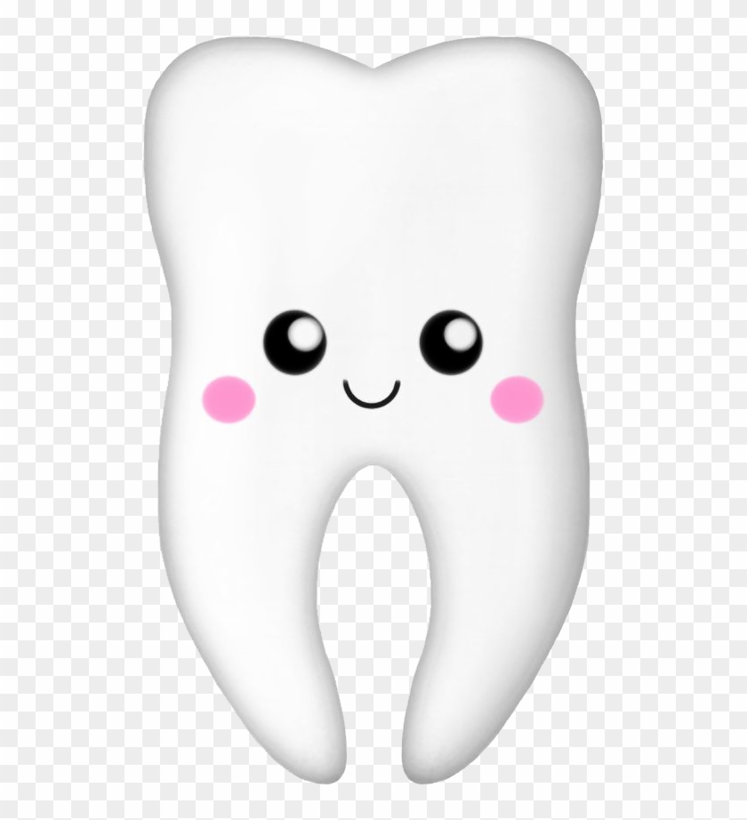 dental clipart premolar tooth