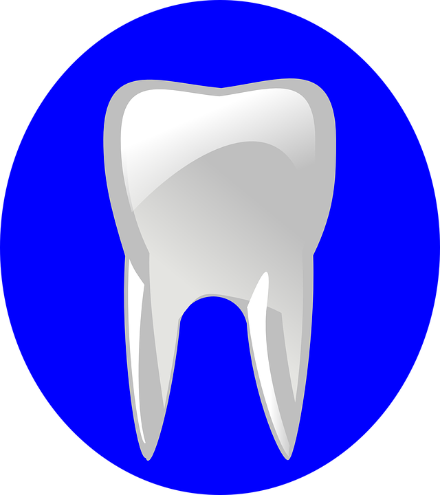 dental clipart strong tooth