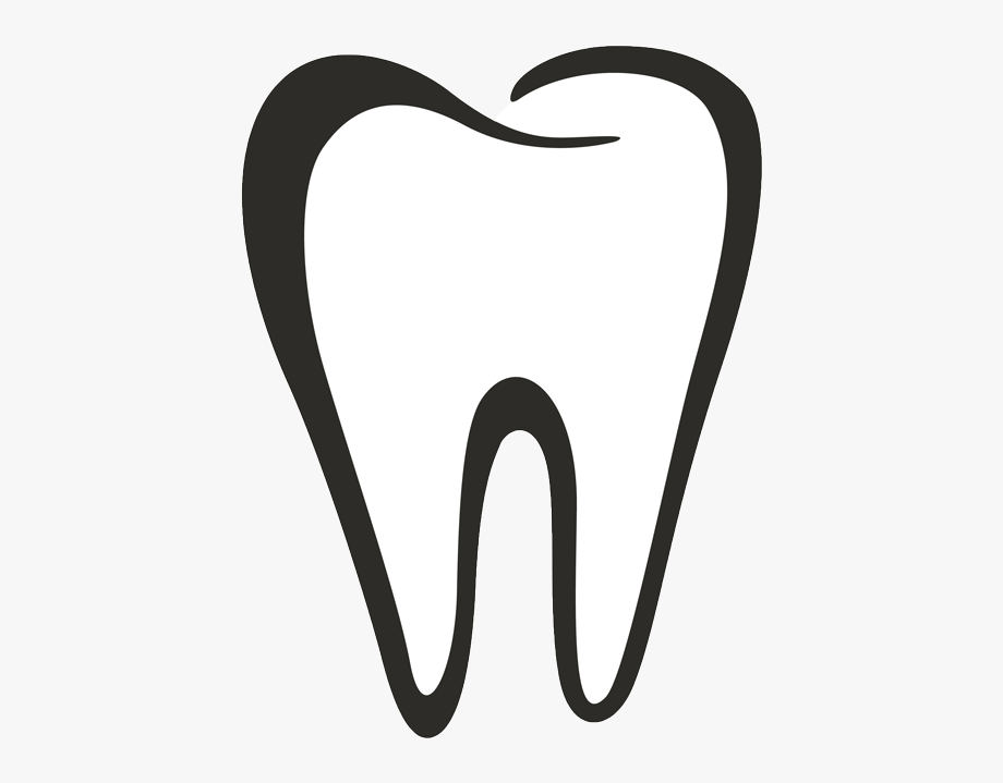 tooth clipart tooth outline
