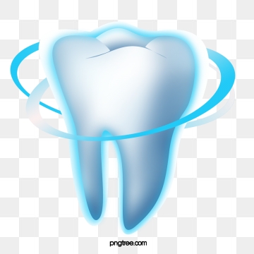dental clipart vector