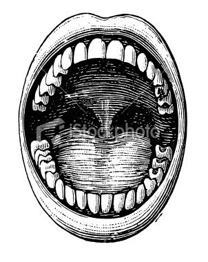 Antique medical illustration depicting. Dental clipart vintage
