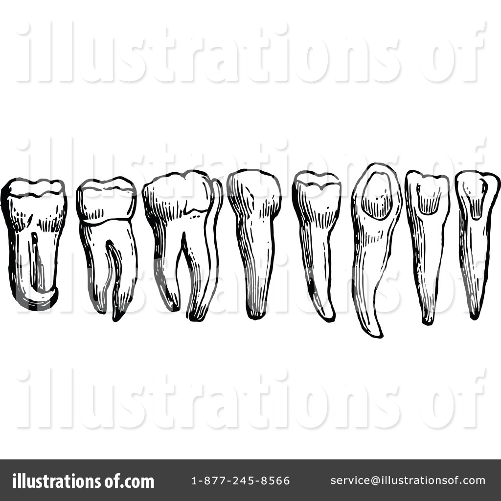 Dental clipart vintage. Teeth illustration by prawny