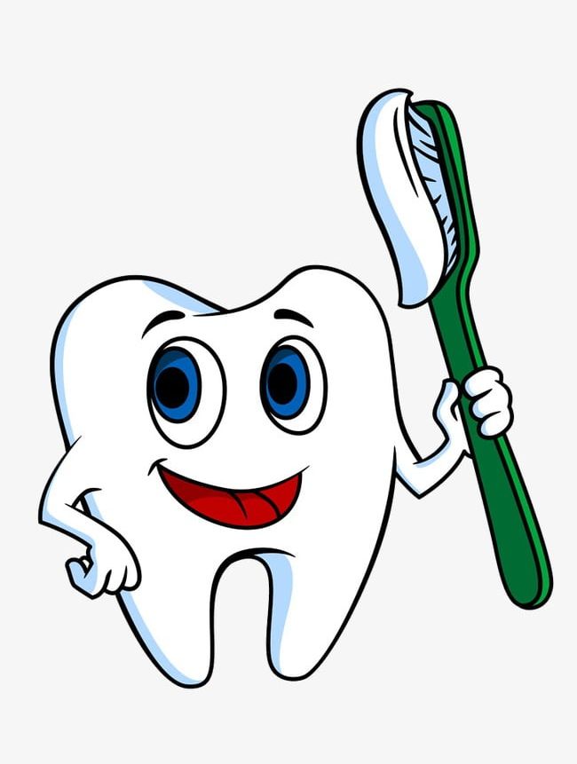 dentist clipart brush tooth