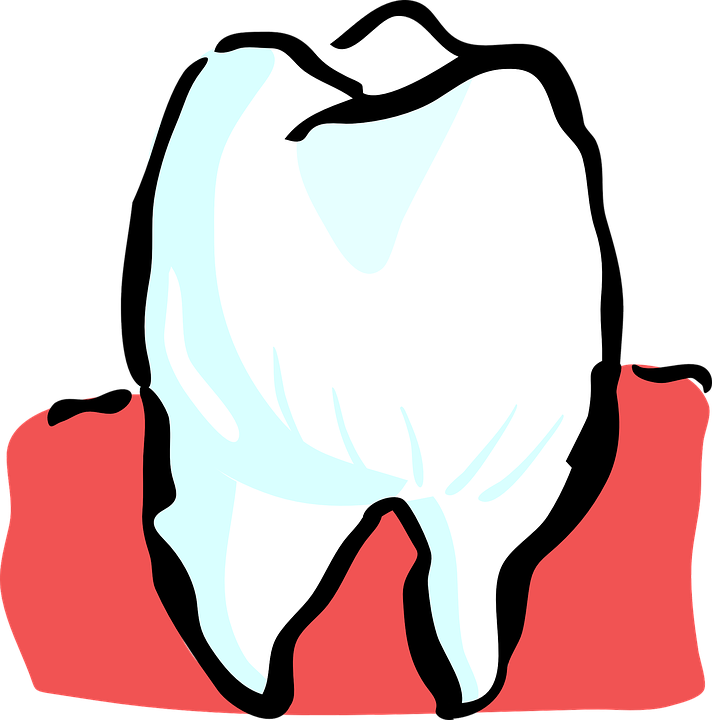 dentist clipart one tooth