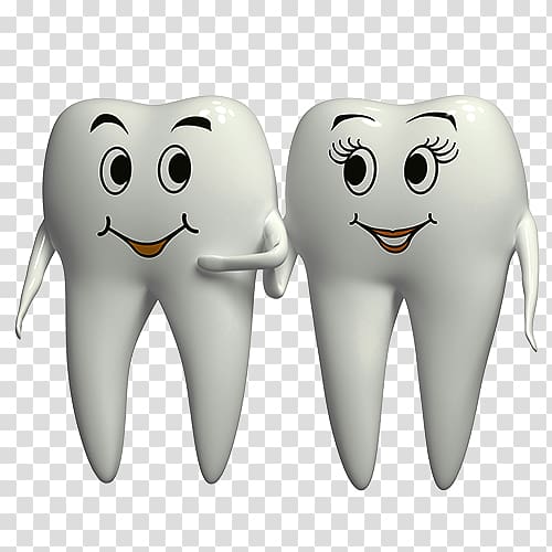 dentist clipart two tooth