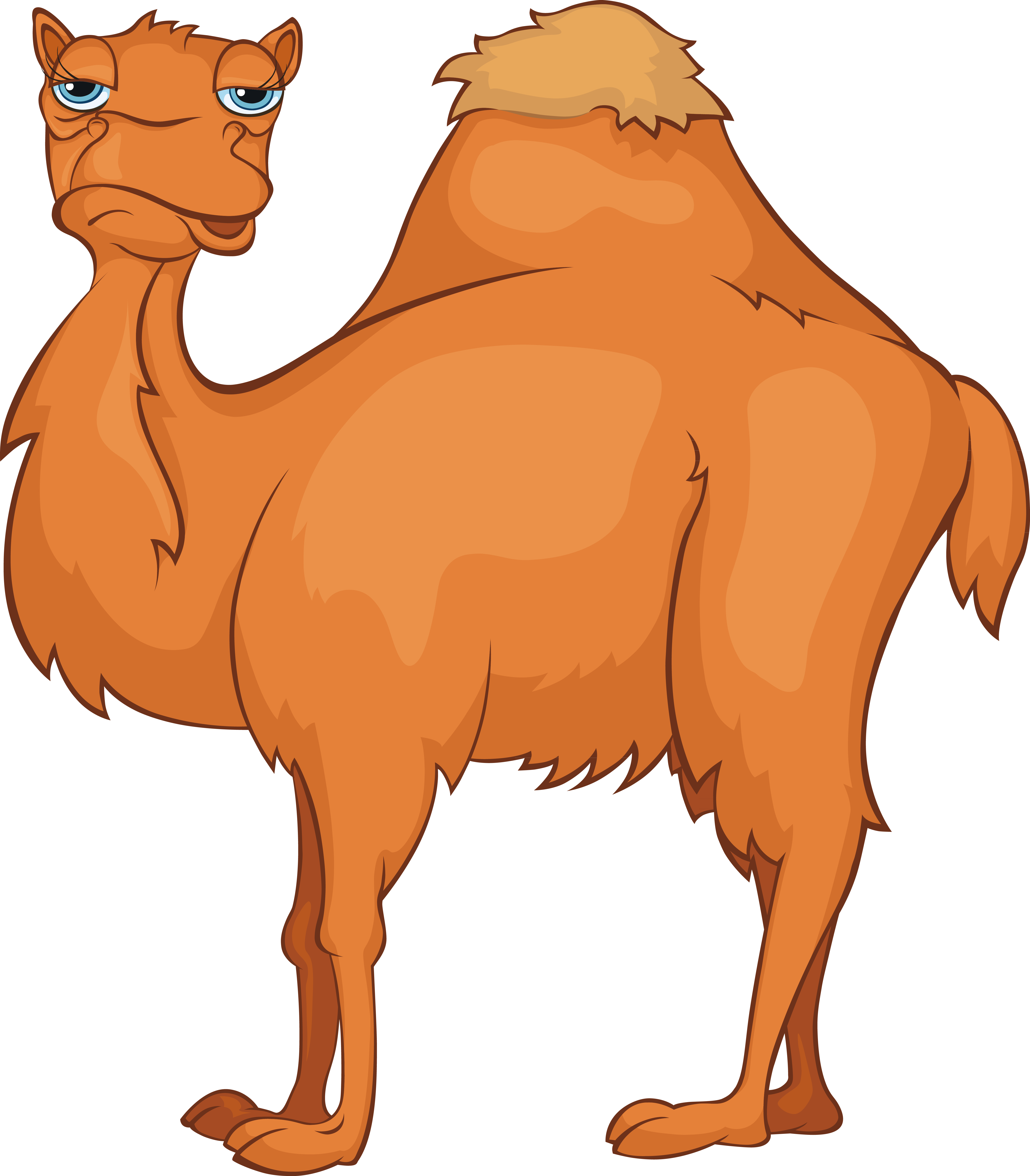 egypt clipart camel
