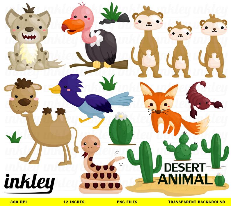 Desert clipart deser. Animal clip art png