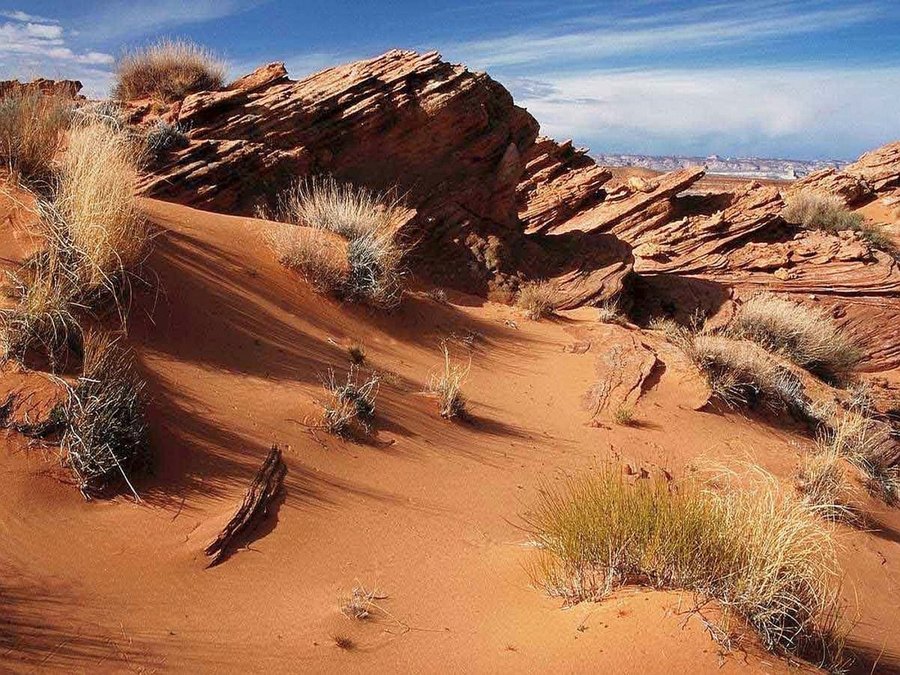 desert clipart desert climate
