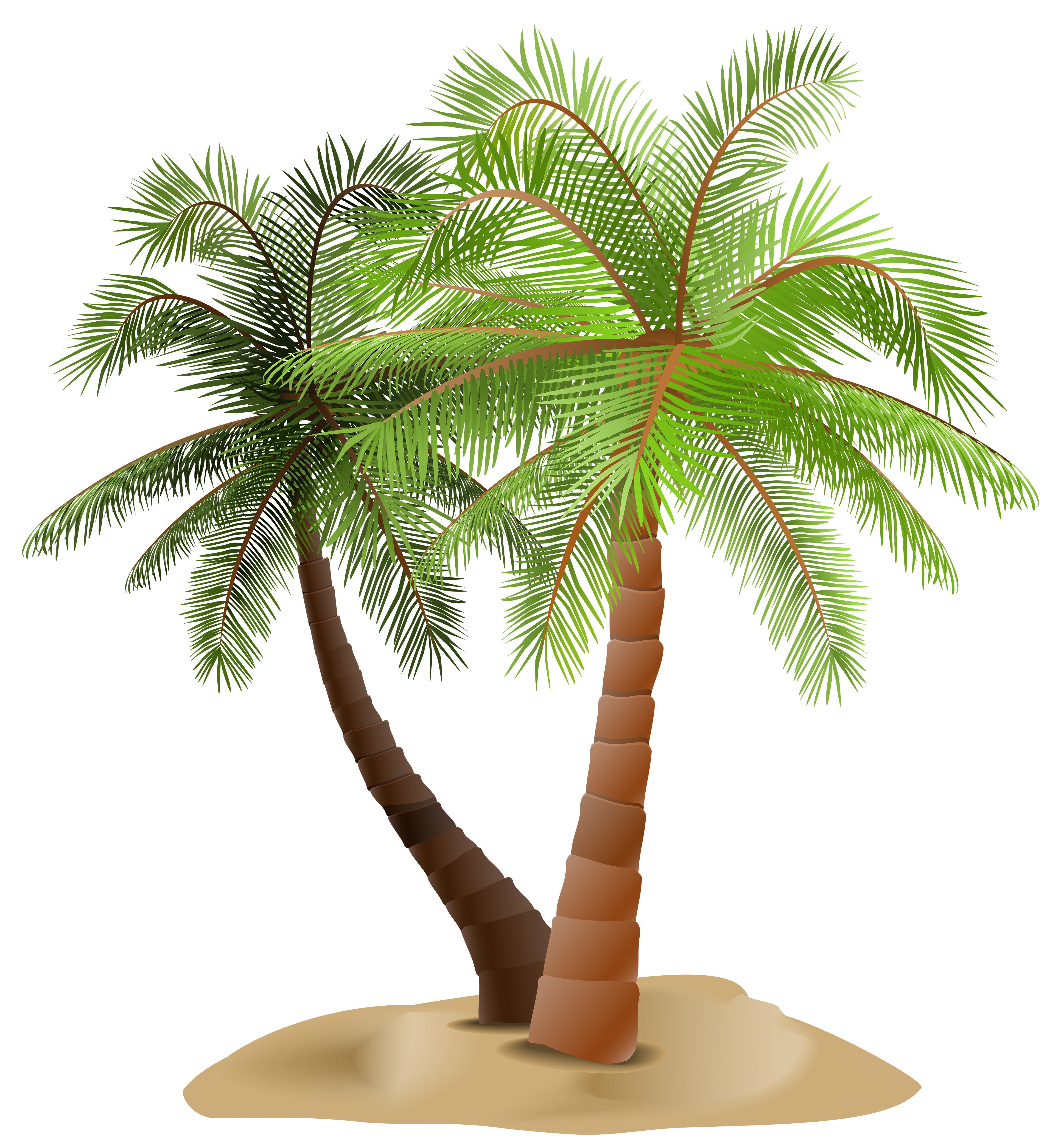 Palm clipart date tree, Palm date tree Transparent FREE for download on ...