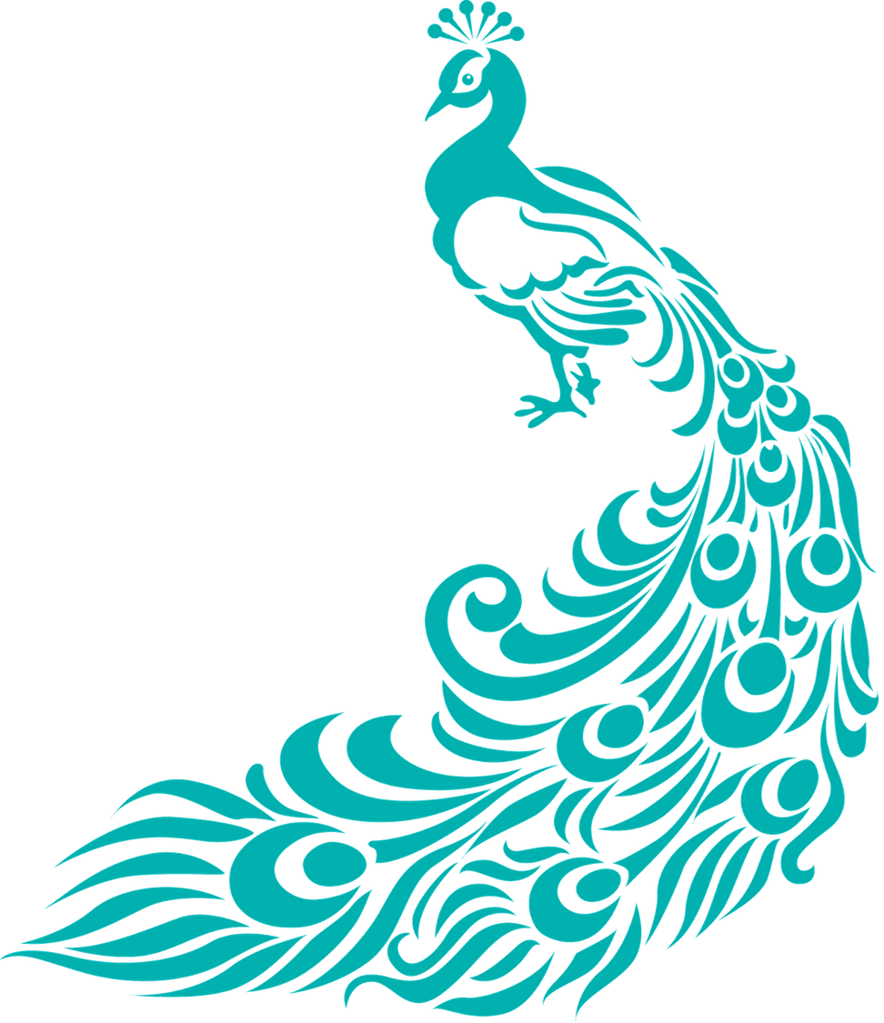 Simple peacock designs best. Design clipart feather