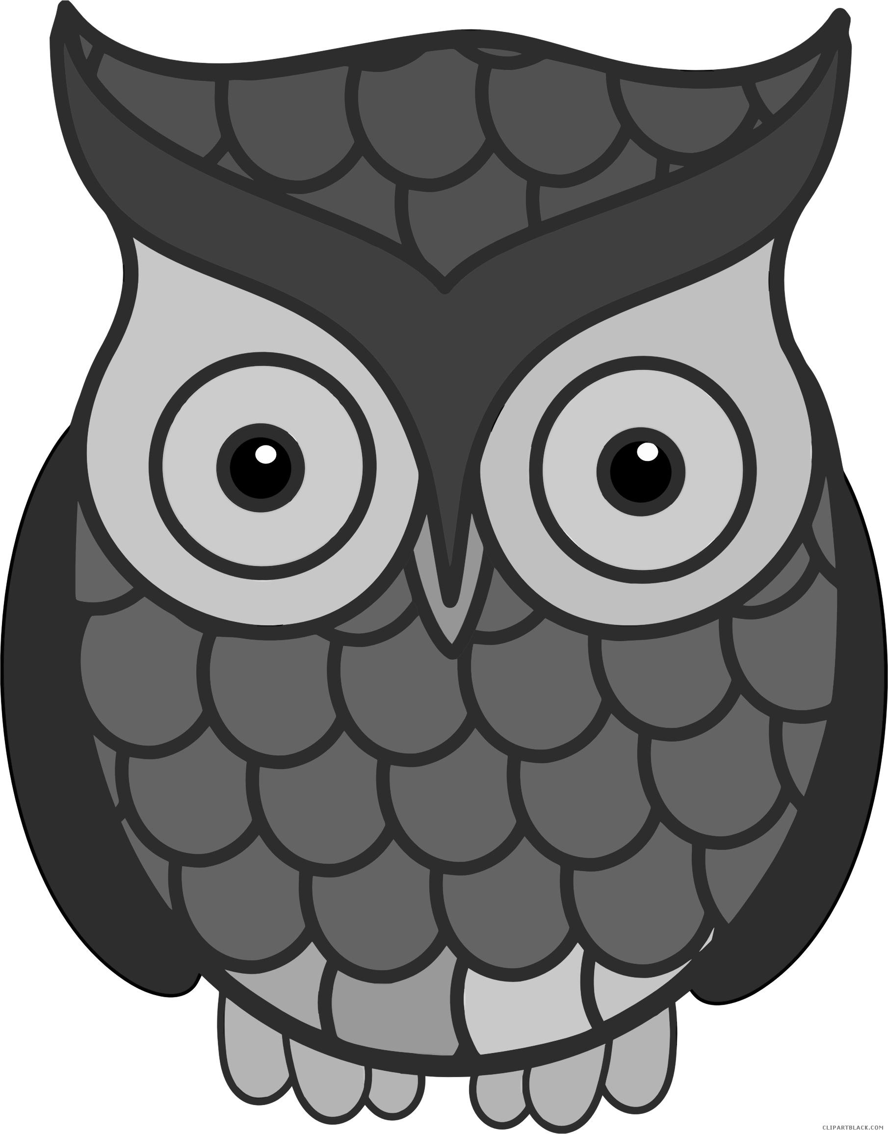 detective clipart owl