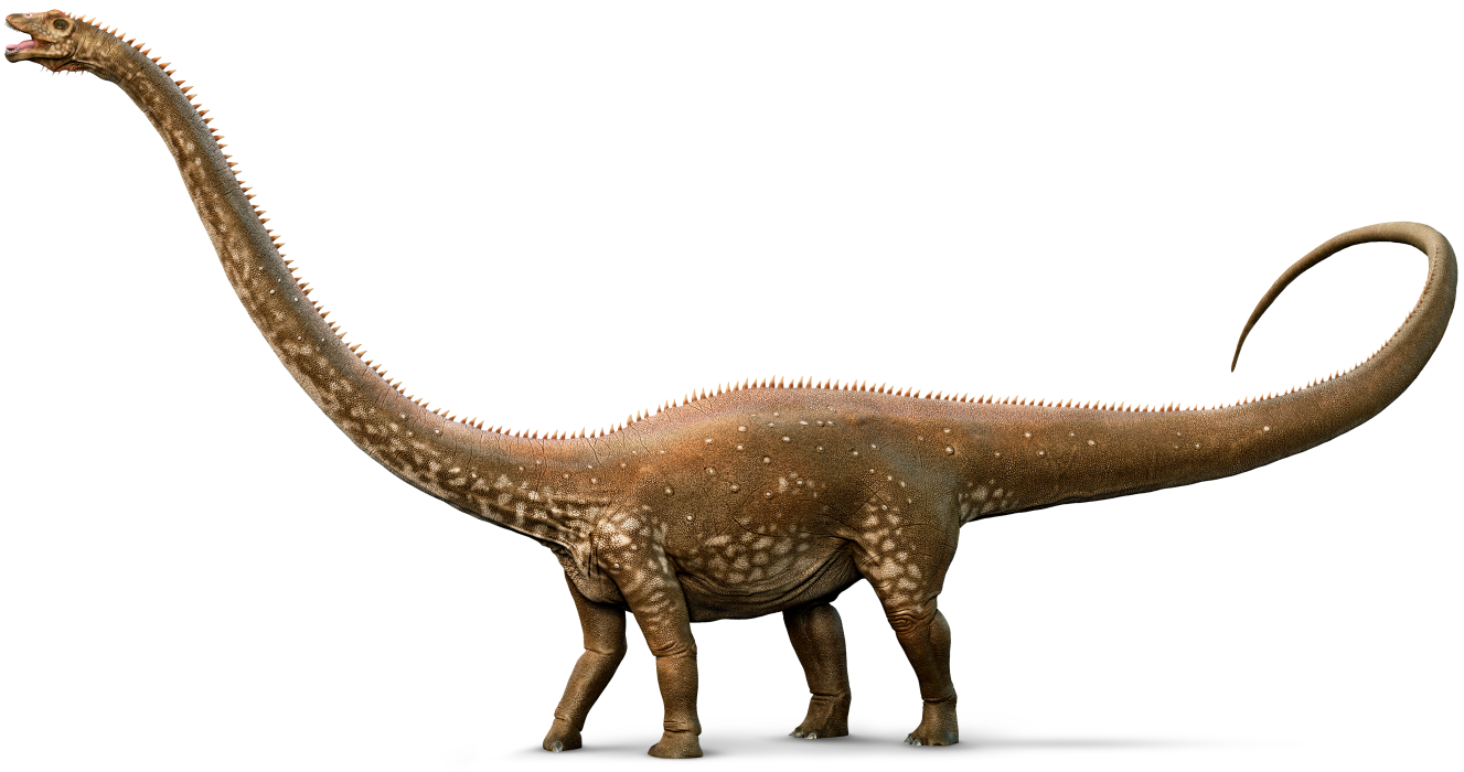 Dinosaur clipart apatosaurus. Pictures jurassic land diplodocus