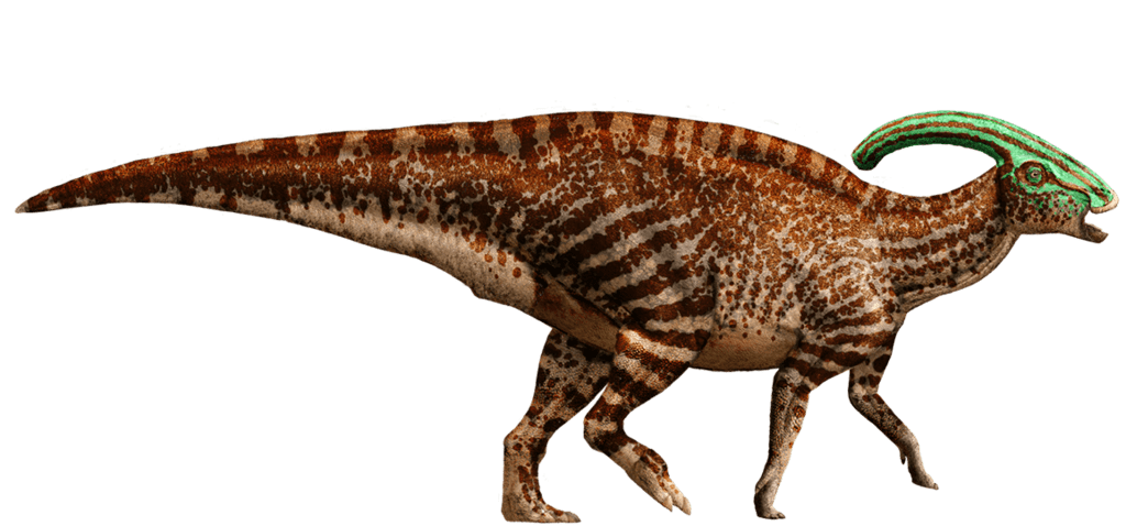 dinosaur clipart parasaurolophus