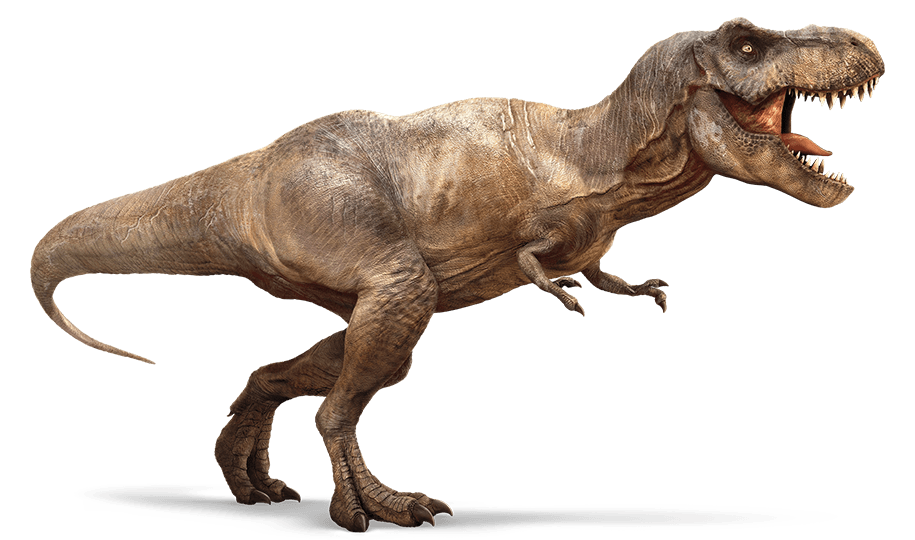 dinosaurs clipart tyrannosaurus rex